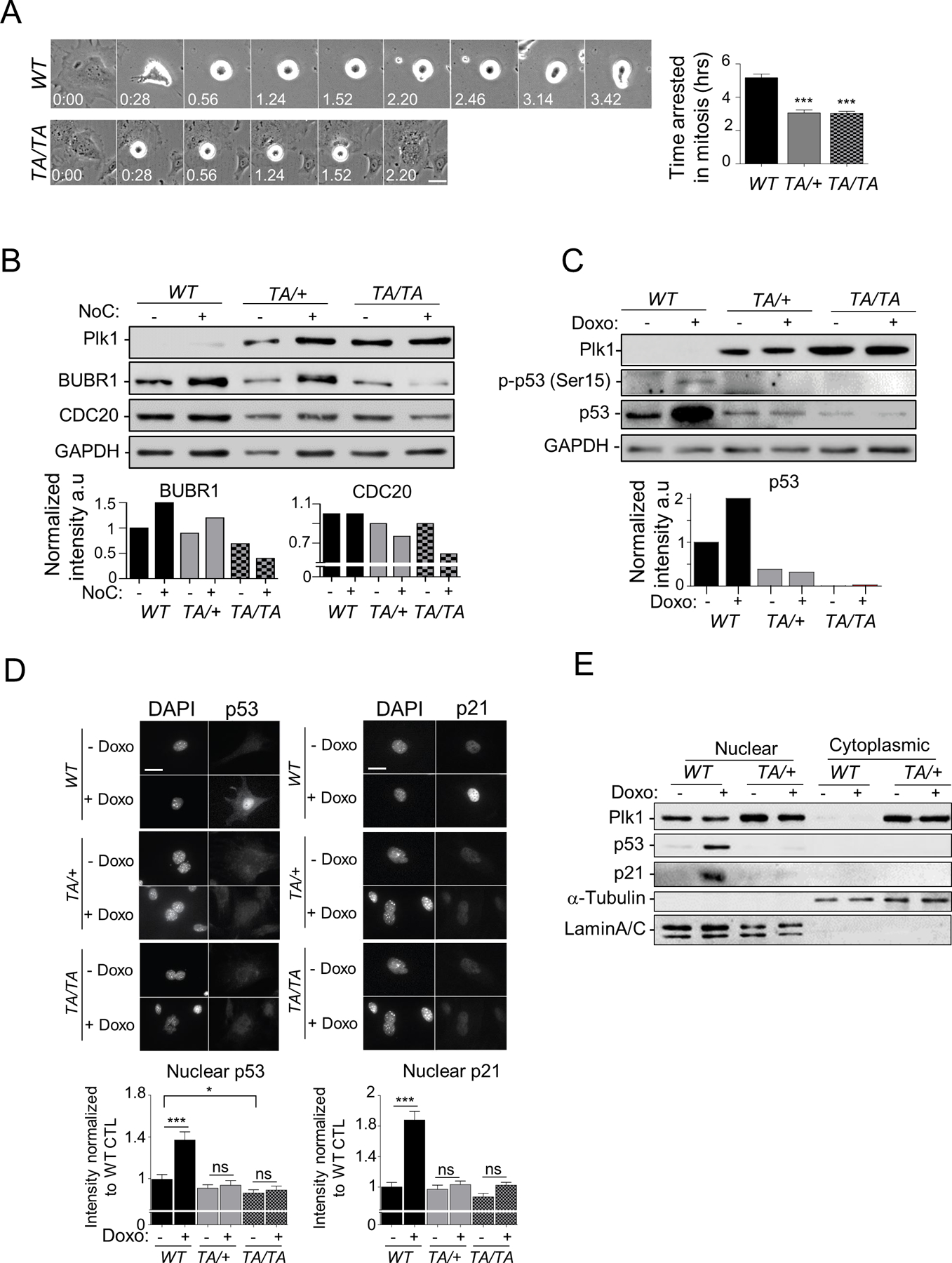 Figure 6: