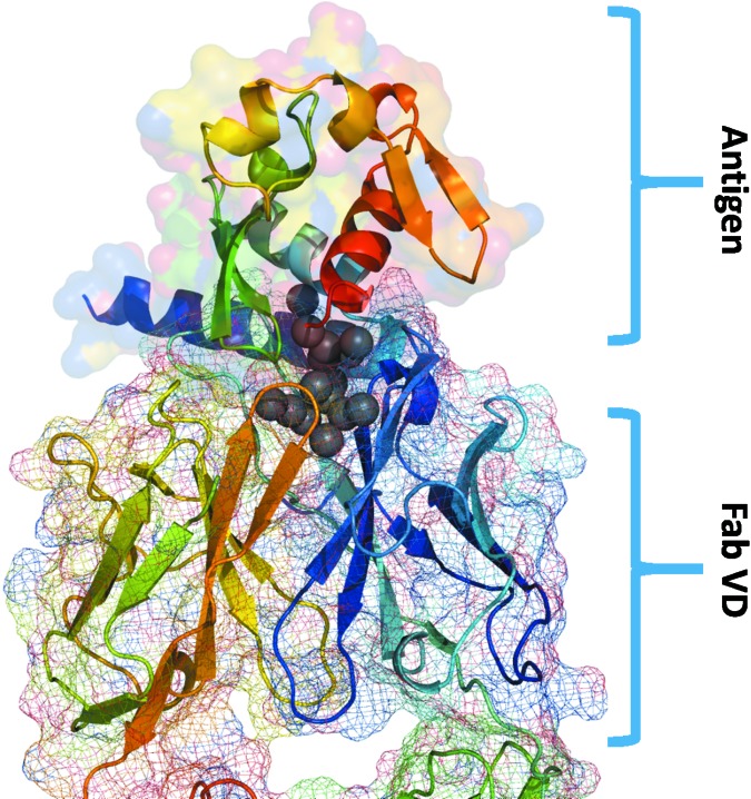 Figure 5