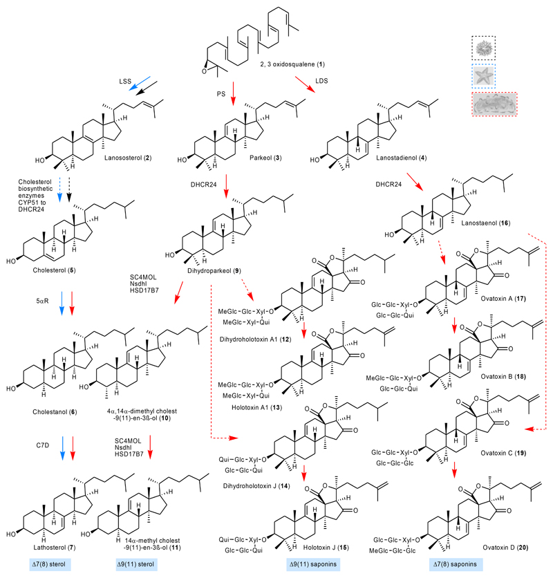 Fig. 3