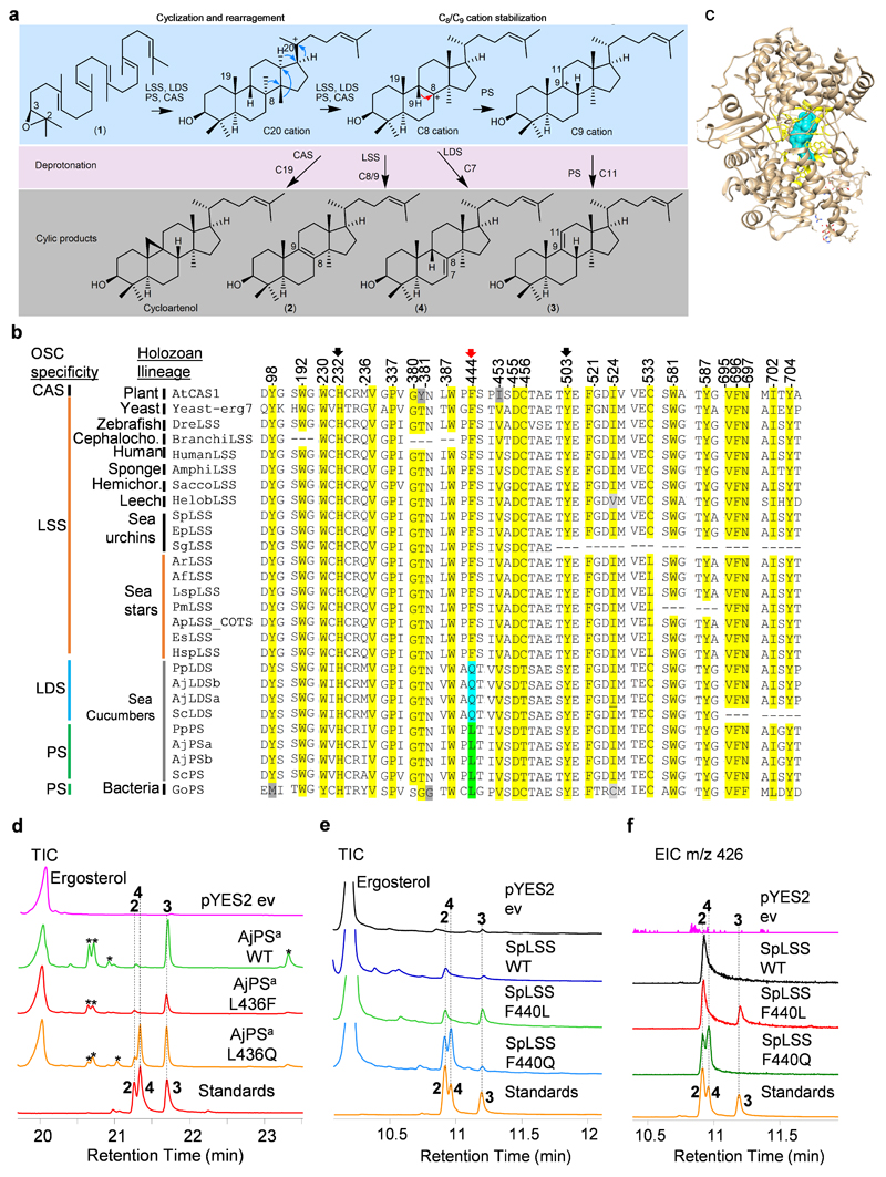 Extended Data Fig. 8