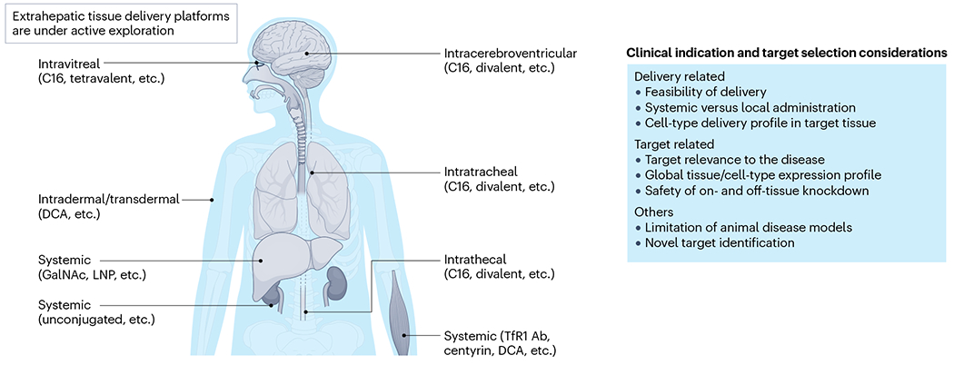 Fig. 5 |