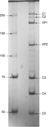 FIG. 5.