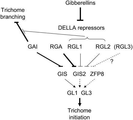 Figure 7.