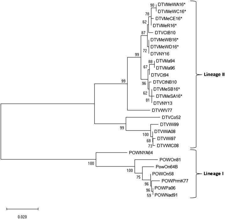 Figure 2.