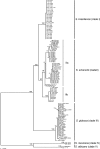 FIG. 1.