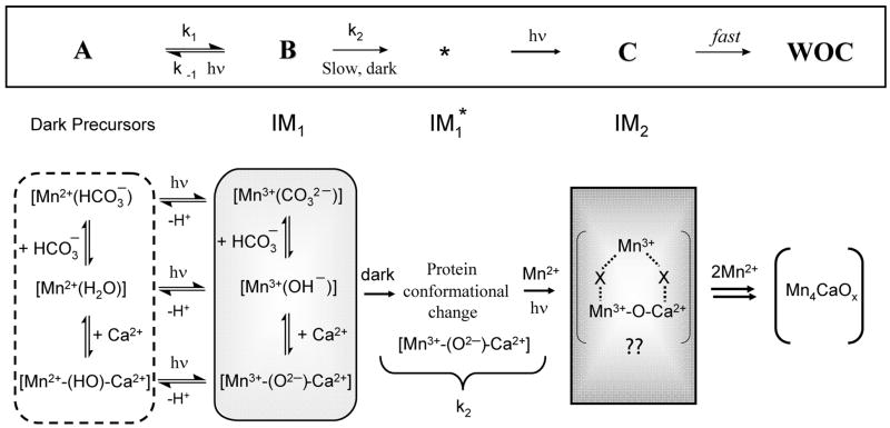 Fig 5