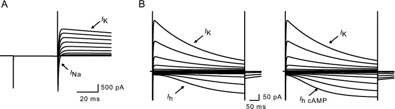 FIG. 6