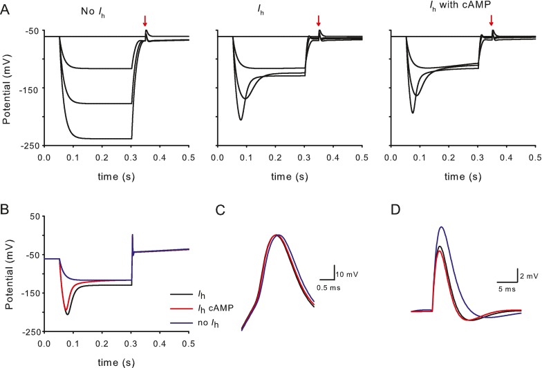 FIG. 7