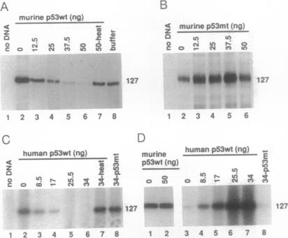 graphic file with name pnas01098-0390-a.jpg