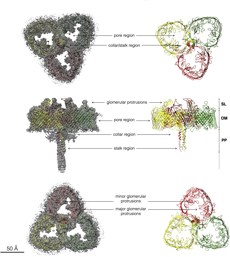 Figure 1