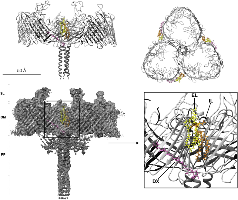 Figure 3