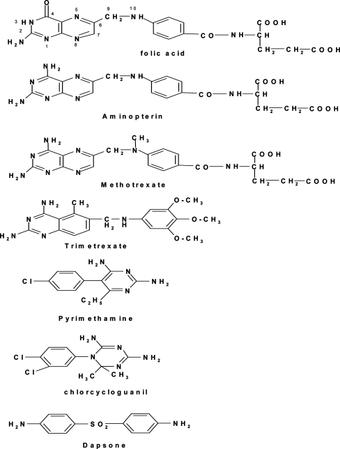 Fig. 1