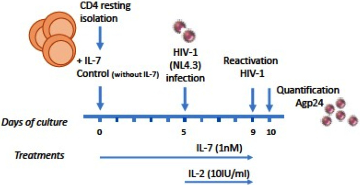 FIG 2