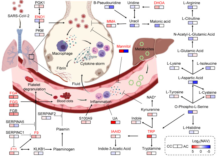 Figure 5