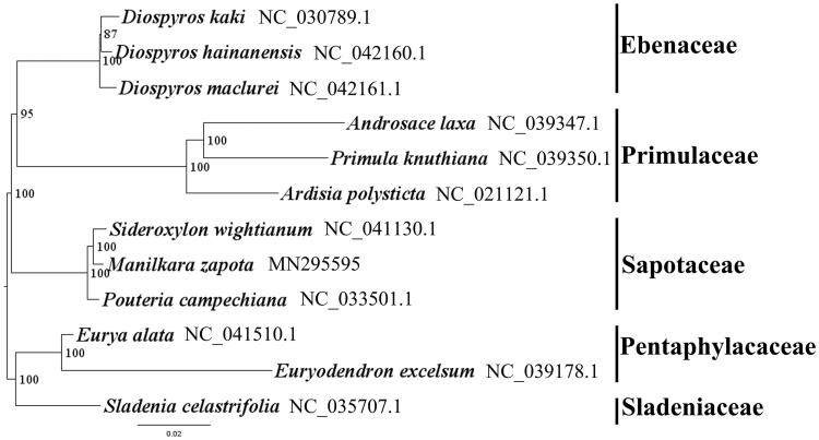 Figure 1.