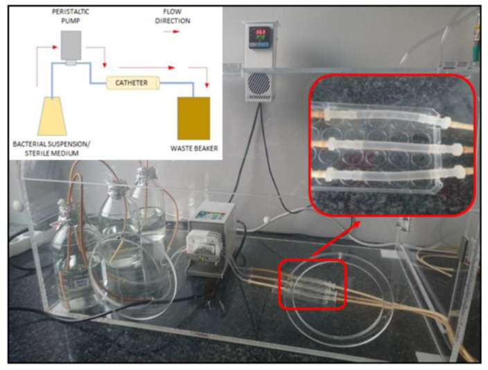 Figure 11