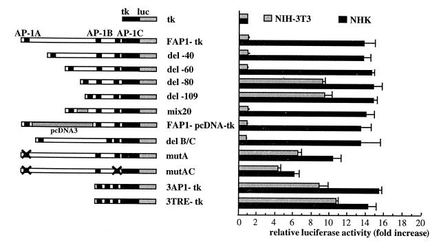 graphic file with name kvd06602.jpg