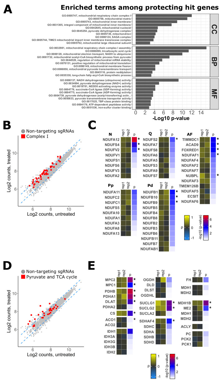 Figure 1—figure supplement 1.