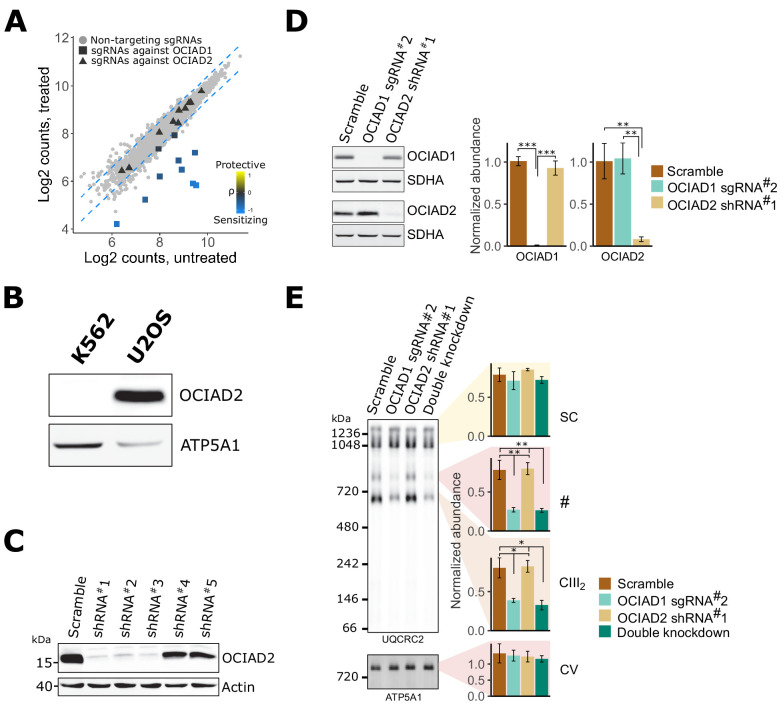 Figure 4—figure supplement 2.