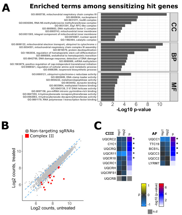 Figure 1—figure supplement 2.