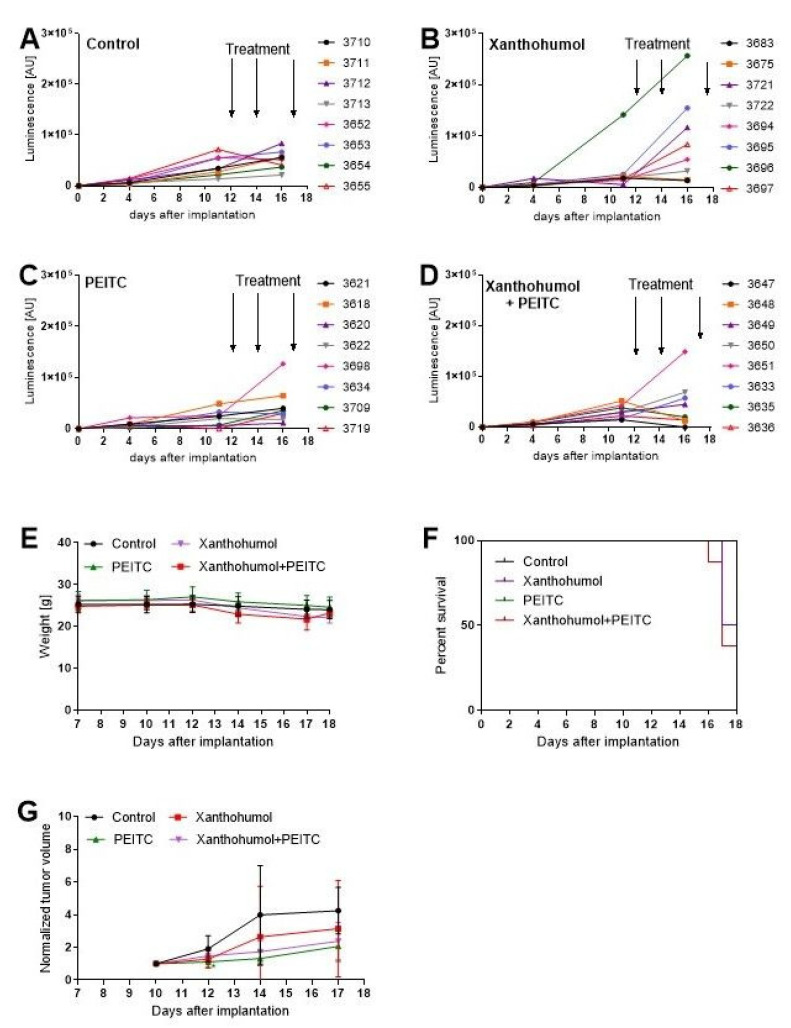 Figure 14