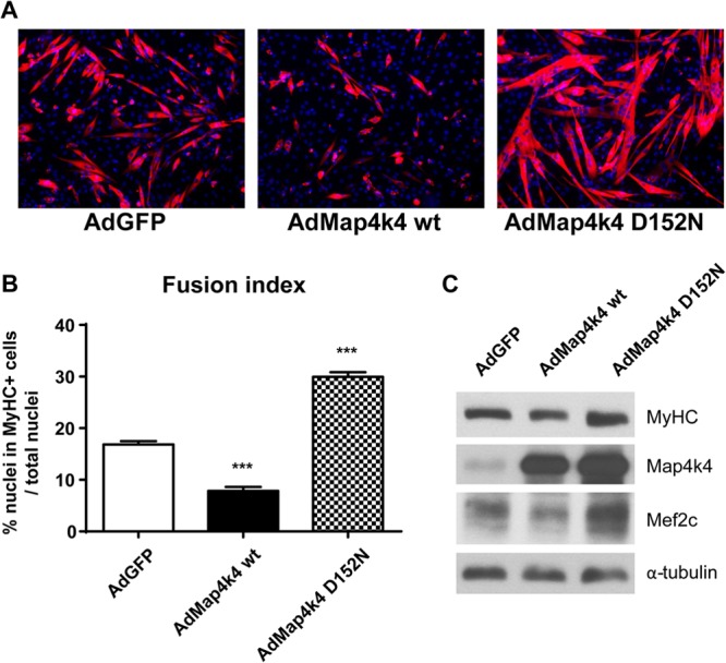 Fig 4