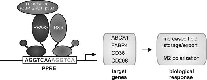 FIG. 13.