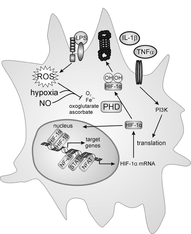 FIG. 8.