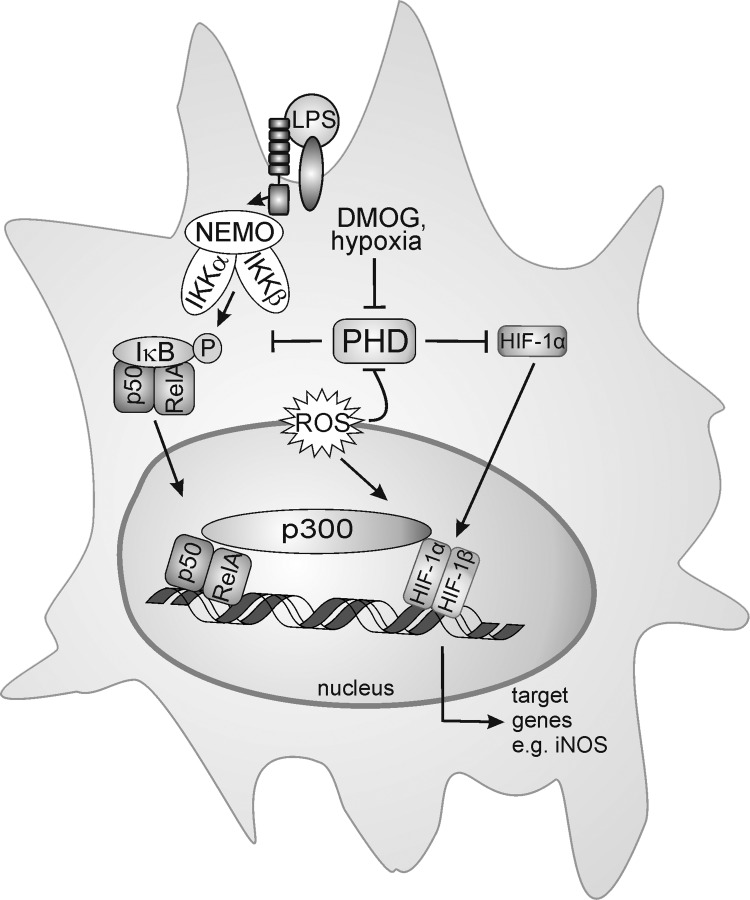 FIG. 9.