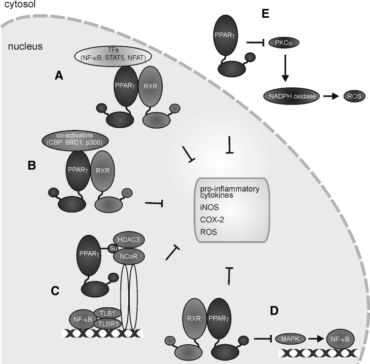 FIG. 14.