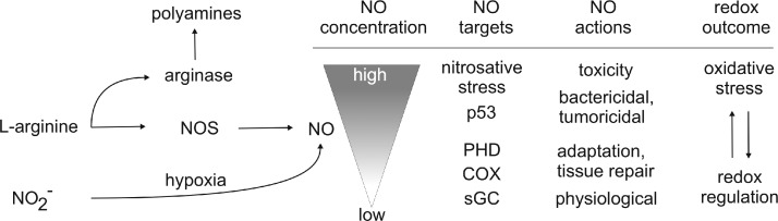 FIG. 3.