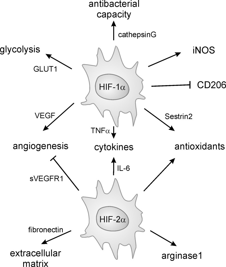 FIG. 10.