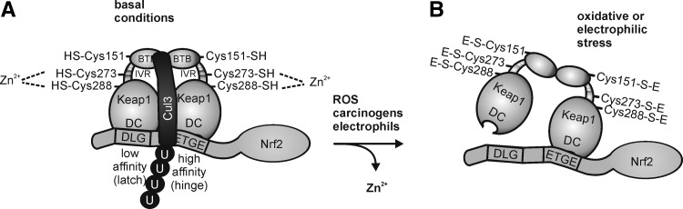 FIG. 12.