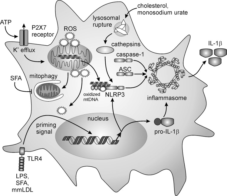 FIG. 17.