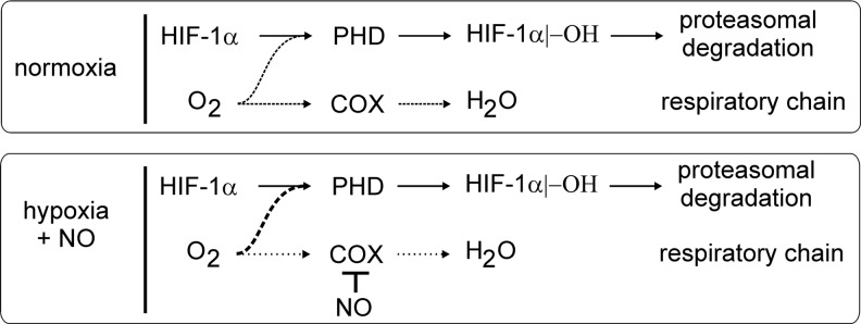 FIG. 7.