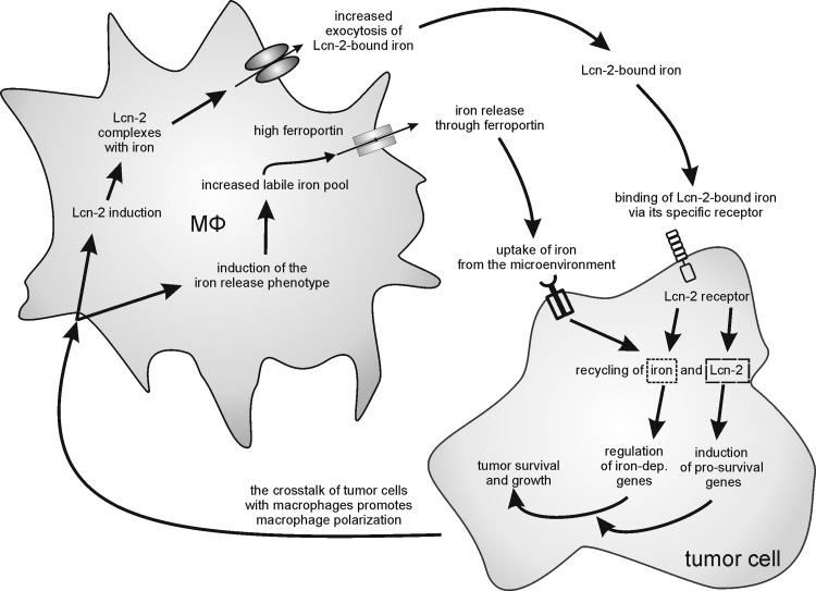 FIG. 19.