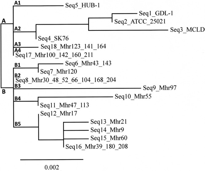 FIG 1