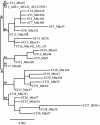 FIG 2