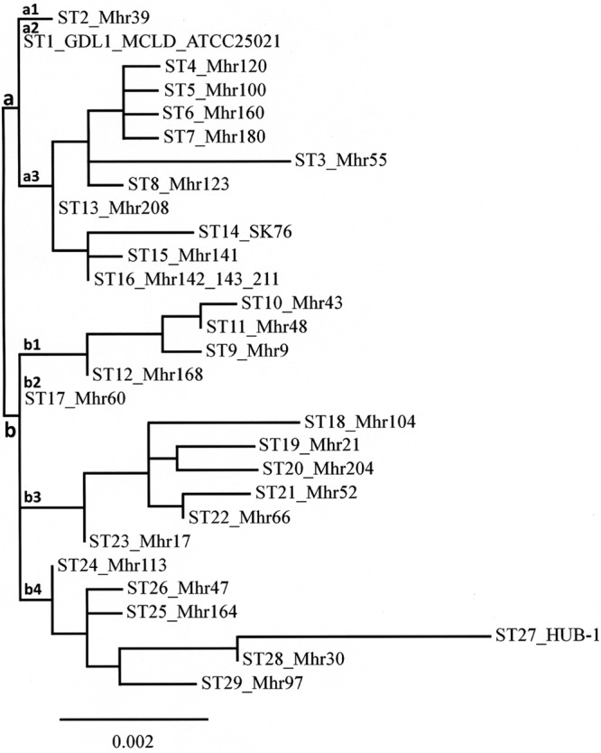 FIG 2