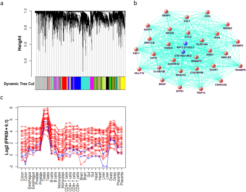 Figure 6