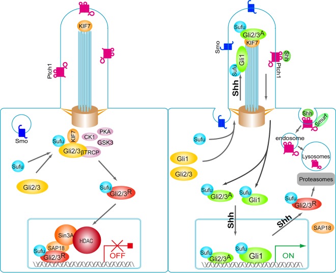 FIG 7