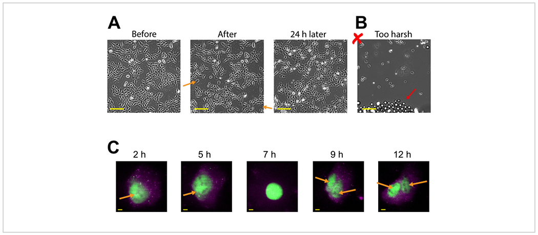 Figure 3: