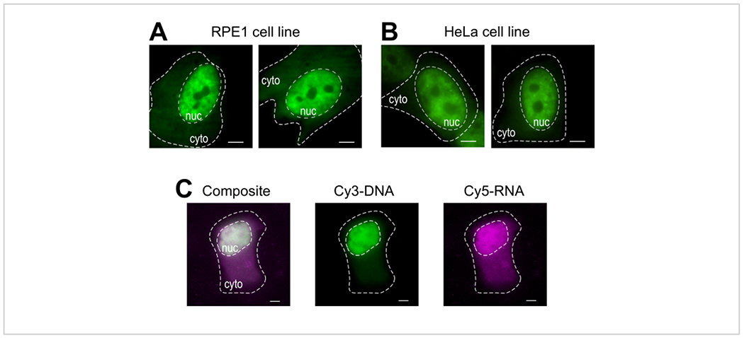 Figure 4: