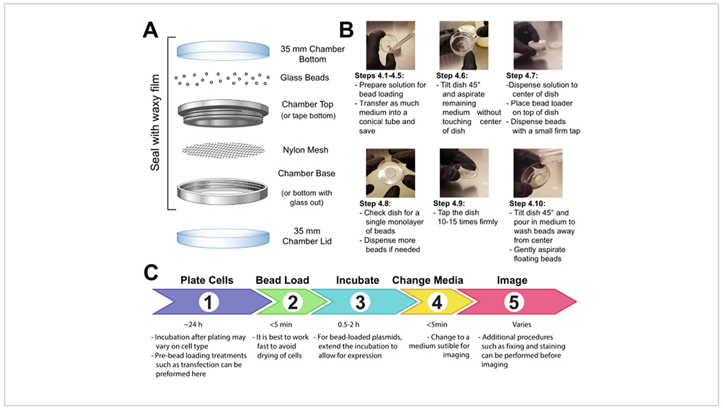 Figure 1: