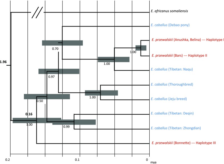 FIG. 2.—