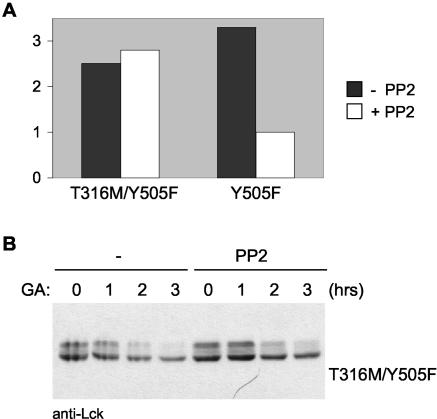 FIG. 8.