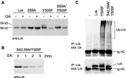 FIG. 5.