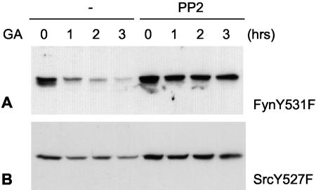 FIG. 9.