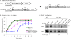 FIG 3