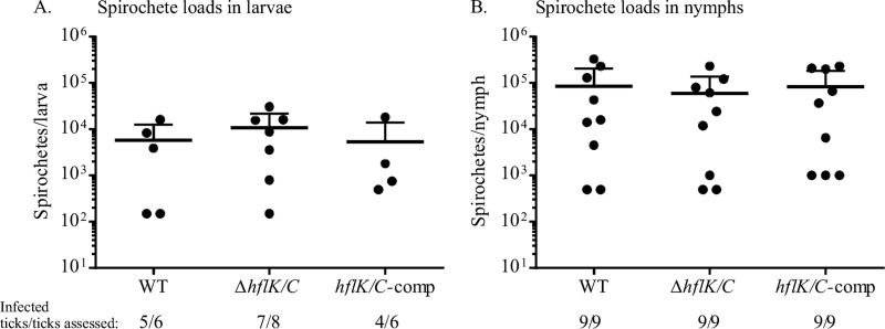 FIG 2 